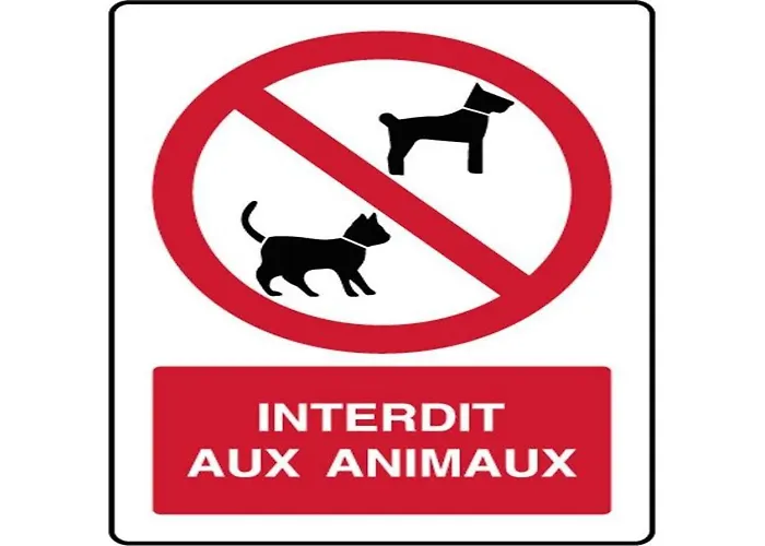 Village Club Le Saint Ignace アスカン